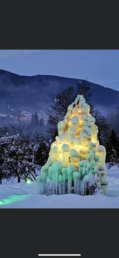 Hotel Rosengarten 타르비시오 외부 사진
